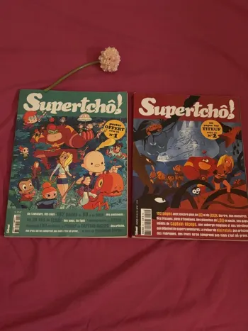 Super tcho lot
