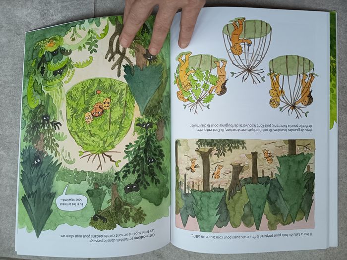 Sur les traces de l'ours - école des loisirs - photo numéro 5