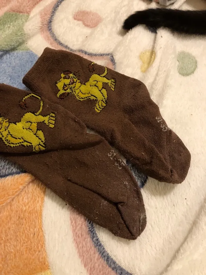 chaussettes le roi lion
