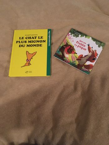 Lot de deux livres