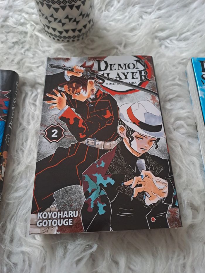 Manga démon slayer tome 1 2 3 - photo numéro 3