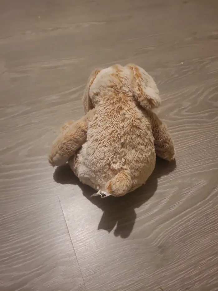 Peluche - photo numéro 4