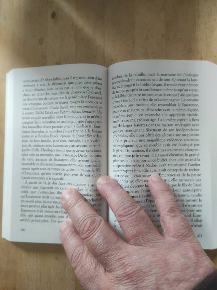 La porte Magda Szabo Livre de Poche 2017 - photo numéro 4