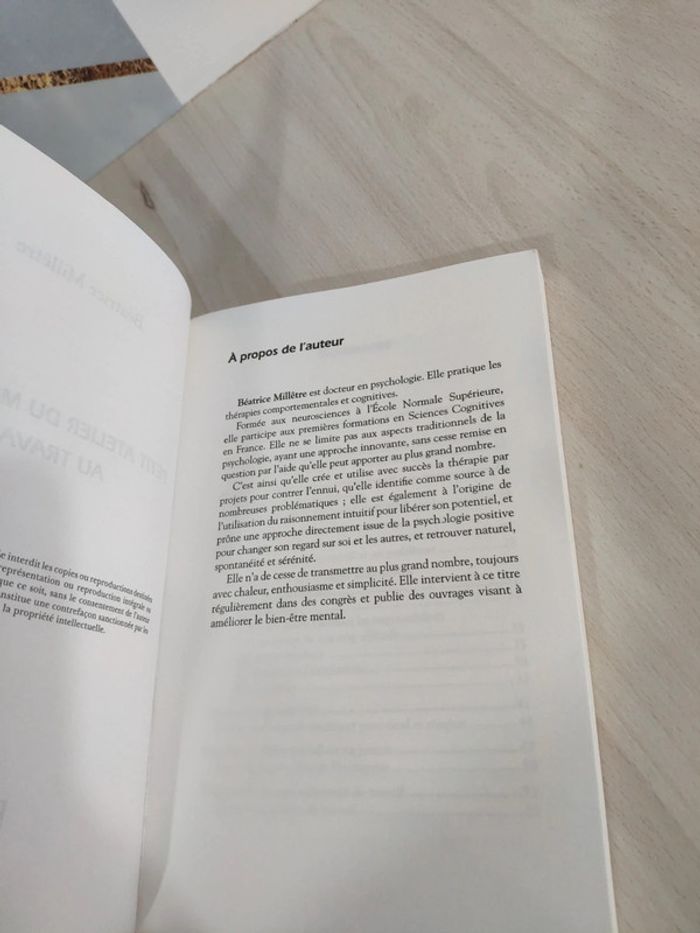 Livre grand format petit atelier du mieux être travail pour salariés tous horizons Milletre psycho - photo numéro 7