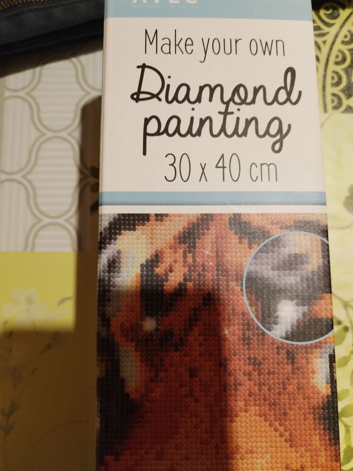 Painting tigre - photo numéro 2