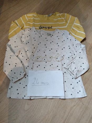 Lot 2 tee shirts ML 24 mois