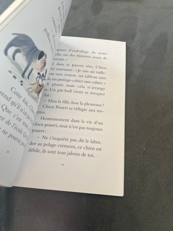Roman enfant chien pourri à l’école - photo numéro 2