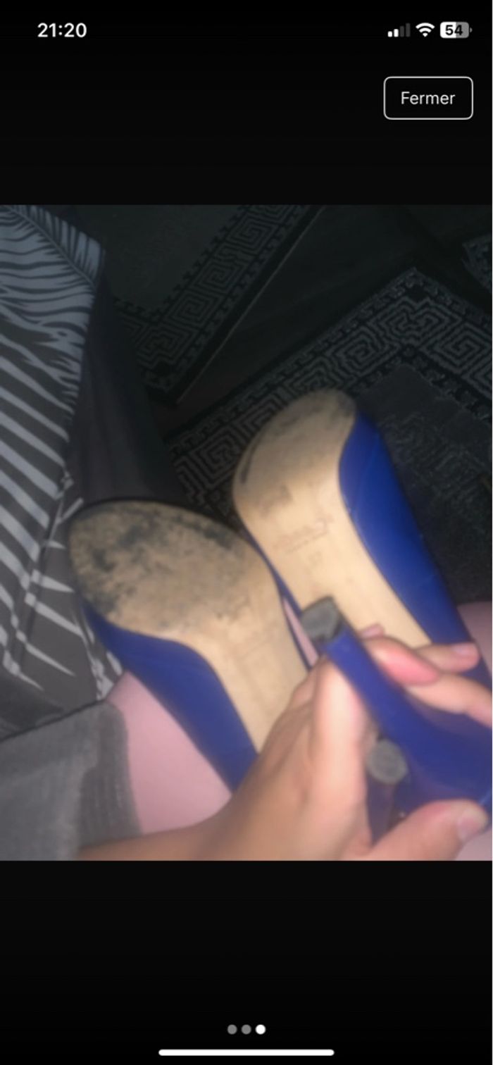 Talon bleu - photo numéro 2