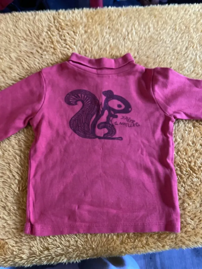 Lot t shirt manche longue 2 ans - photo numéro 7