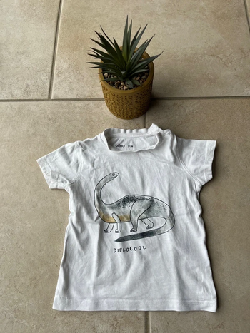 T-shirt garçon taille 12 mois