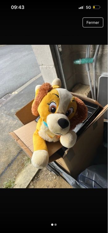 Peluche 