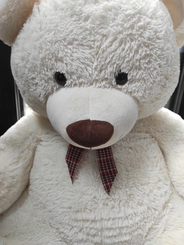 Peluche ours - photo numéro 3