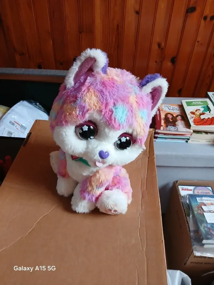 Mon chiot bobo rainbow stech