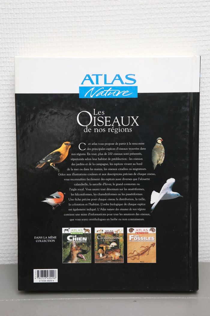 Les oiseaux de nos régions - photo numéro 3