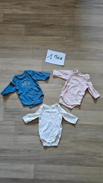 Lot body