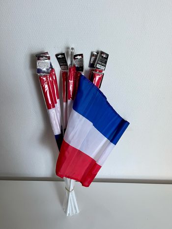 Lot 10 drapeaux Pays-Bas 30 x 45 cm avec la tige