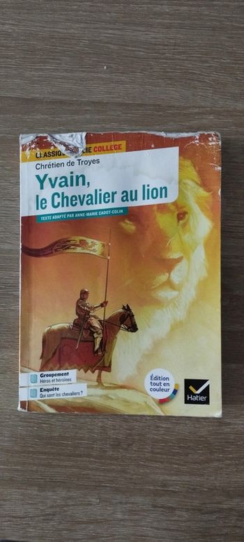 Livre Yvain le chevalier au lion 🦁