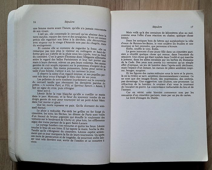 Kate Mosse - Sépulcre - photo numéro 10