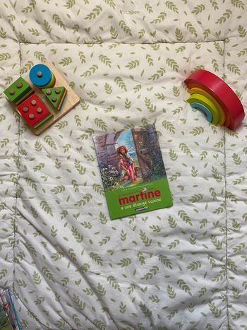 livre je commence à lire avec Martine a une étrange voisine tome 9 casterman