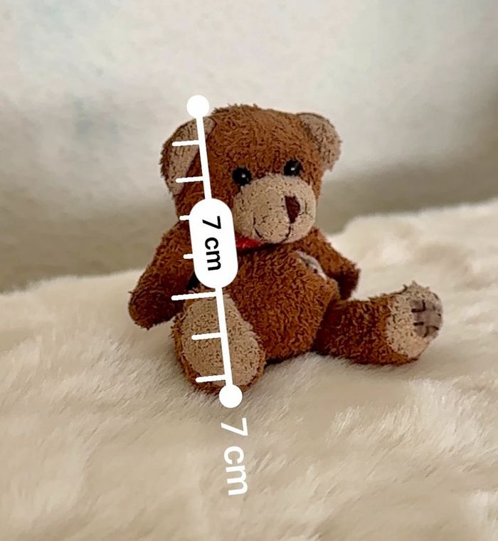 Petit ours - photo numéro 2