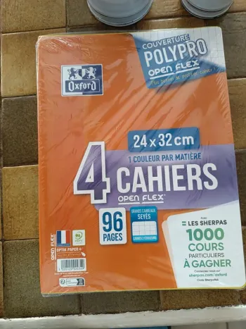 Lot de 4 cahiers Oxford polypro Open Flex 24 x 32 cm 96 pages grands carreaux neuf avec emballage