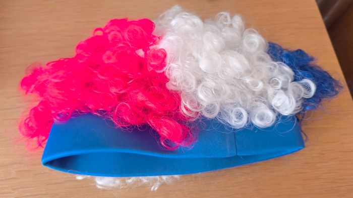 🌿 Perruque mixte tricolore - France - Taille Unique 🌿 - photo numéro 4