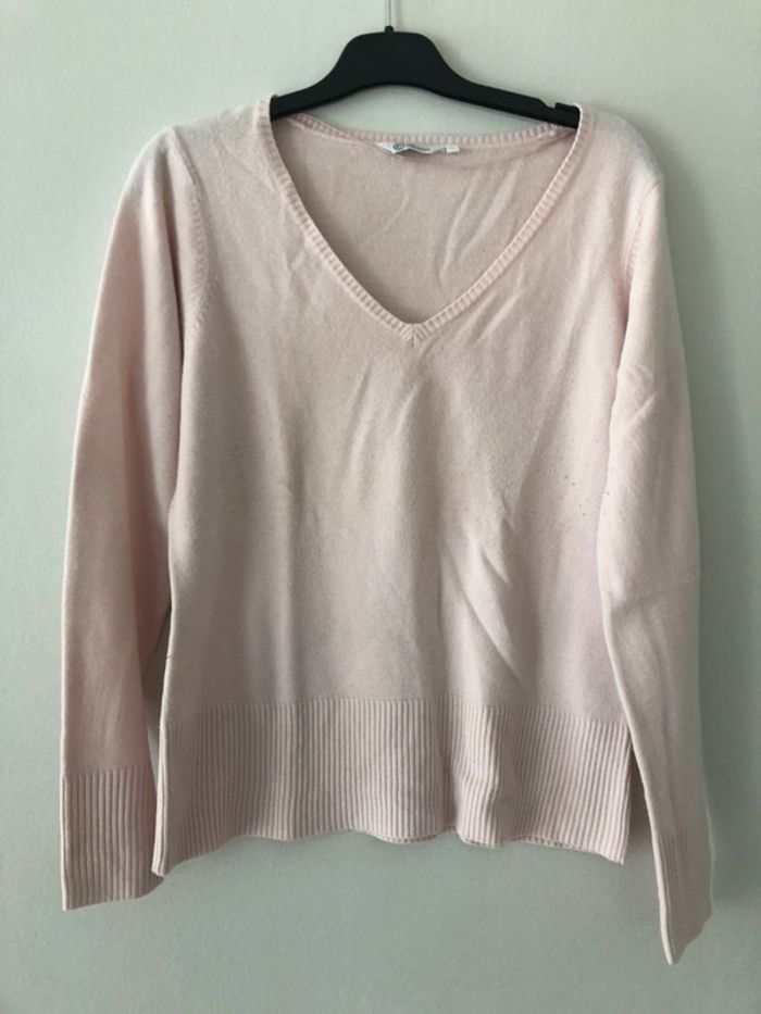 Pull rose pale