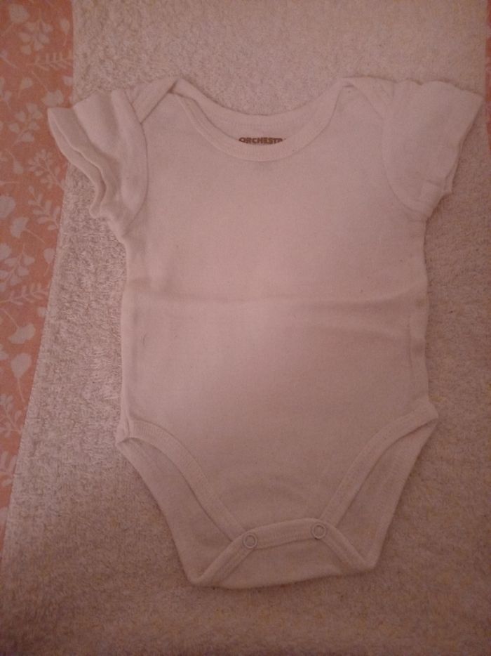 Bodies manches courtes