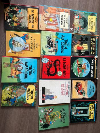 Lot de 14 livres Tintin dont 12 cotés