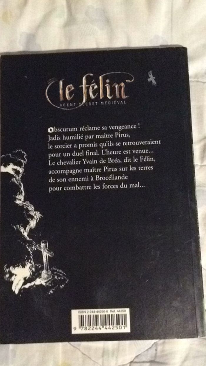 #le félin agent secret médiéval, le sorcier de Brocéliande par Arthur Ténor - photo numéro 3