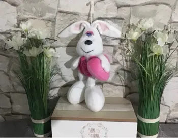 Lapin eluz