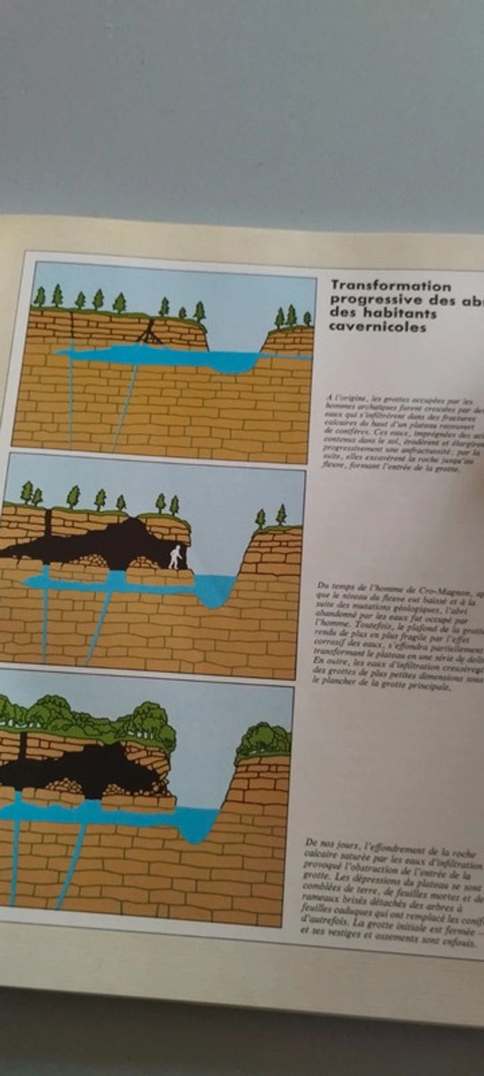 L'homme de Cro-Magnon - photo numéro 4