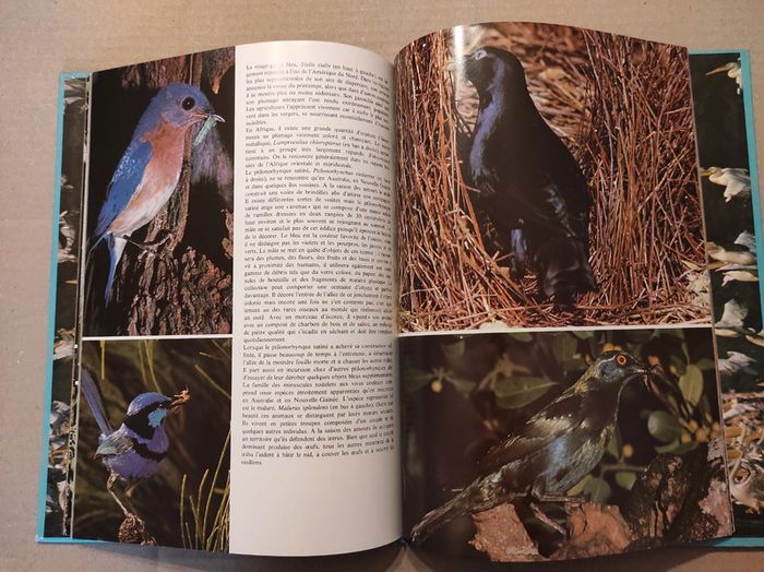 La Passion des Oiseaux - photo numéro 3