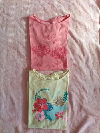 Lot 2 tee shirt 12ans