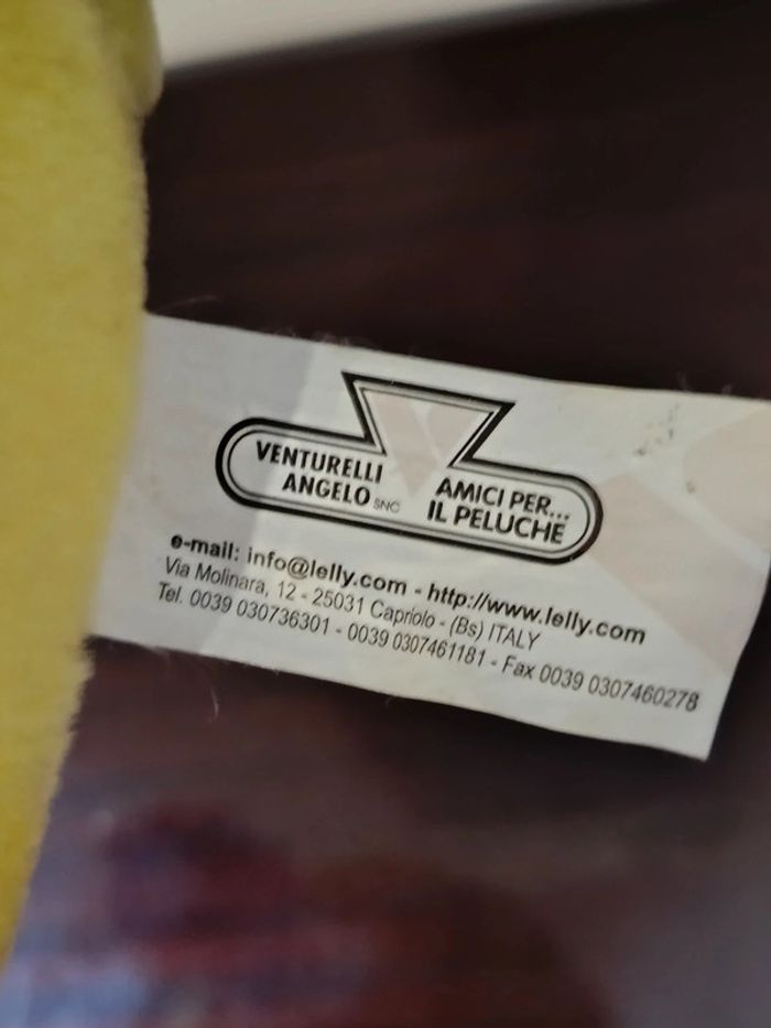 Canard Venturelli - photo numéro 5