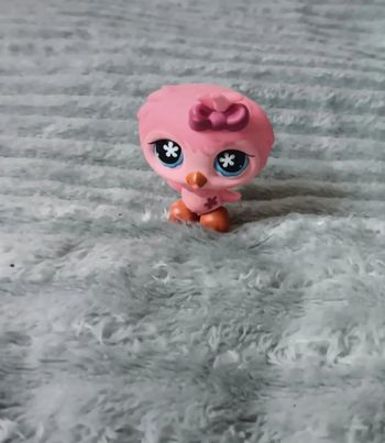 Petshop hibou 496