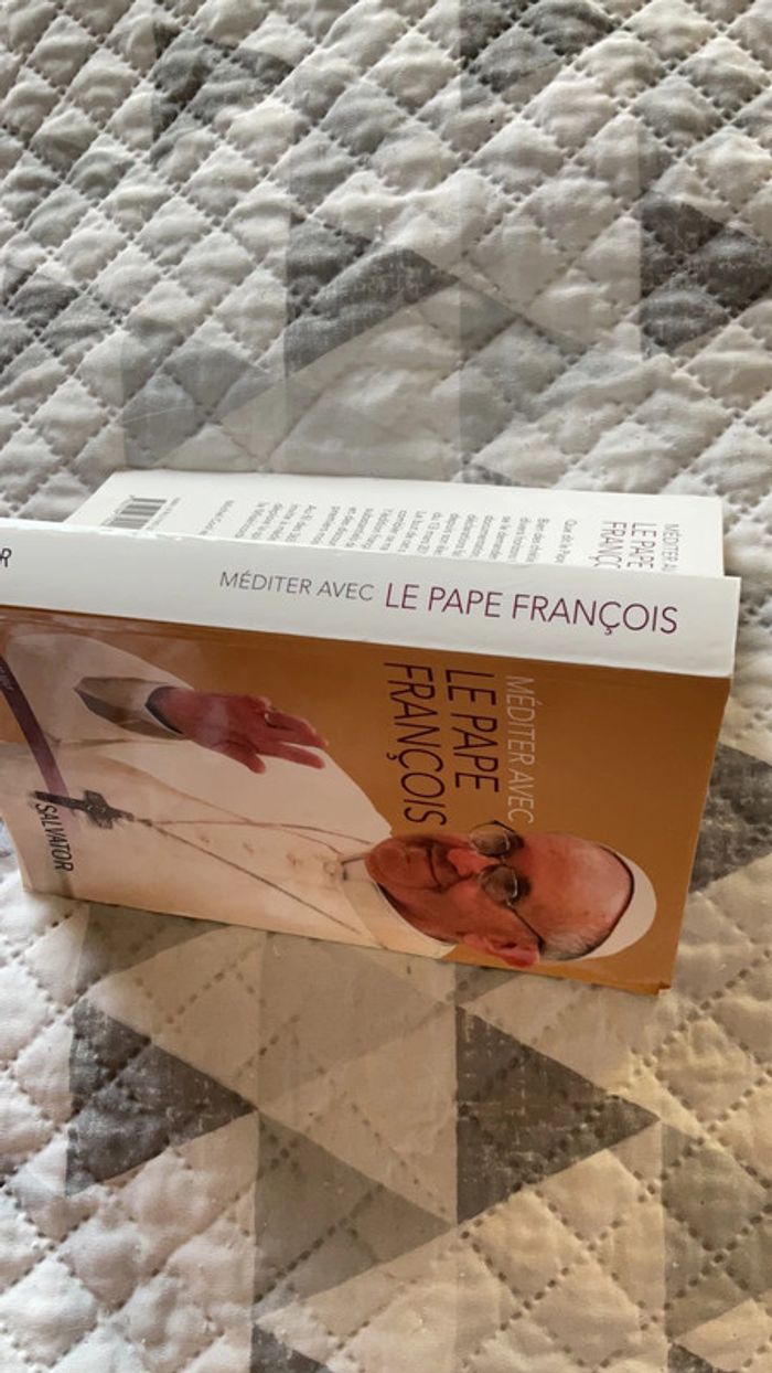 #méditer avec le pape François Michel Cool. ) - photo numéro 4