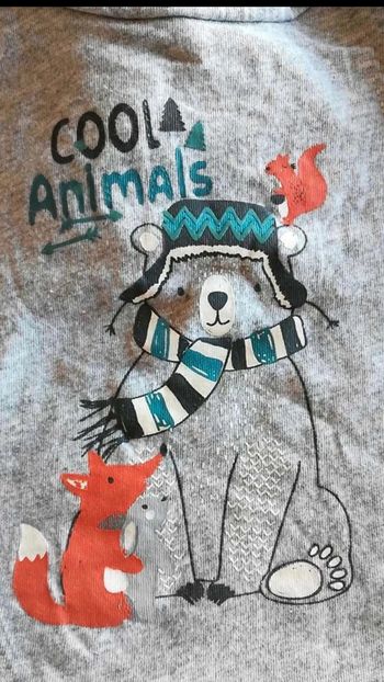 T shirt  renard