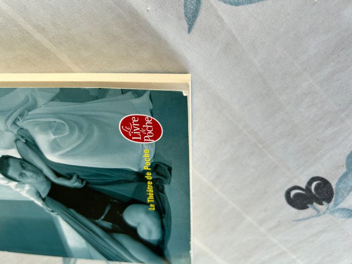 Electre - photo numéro 4