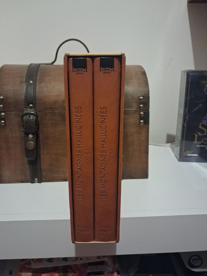 Coffret Les Chefs D'œuvre Lovecraft Les Montagnes Hallucinées Manga - photo numéro 4