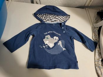 Sweat à capuche