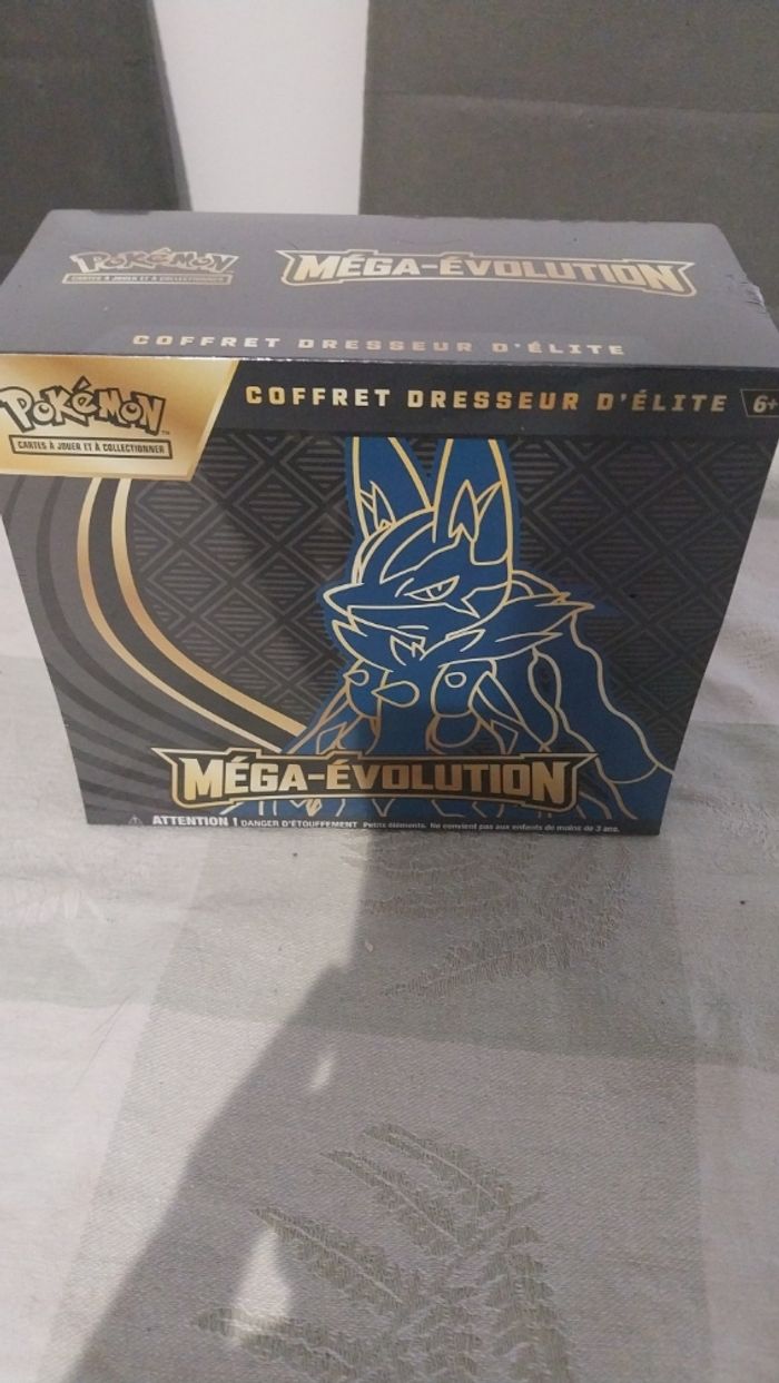 ETB MEGA LUCARIO