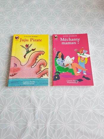 Livres Castor poche Flammarion