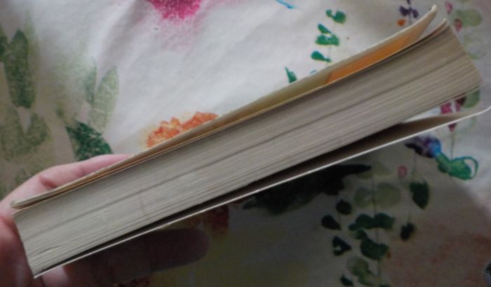 SELENE de Barbara WOOD Ed. Presses Pocket - photo numéro 5