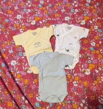 Lot de 3 bodies manches courtes