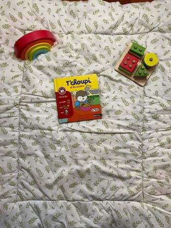 livre t'choupi et la cuisine numéro 15