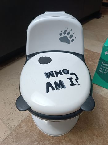 Mini toilette enfant de 12 mois à 4 ans