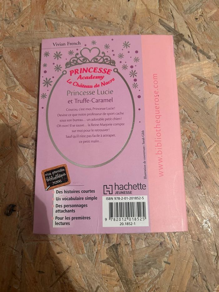 Livre princesse académy - photo numéro 2