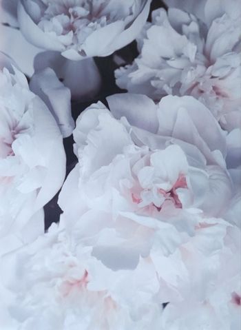 Toile murale 50x70cm