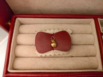 Pendentif coccinelle